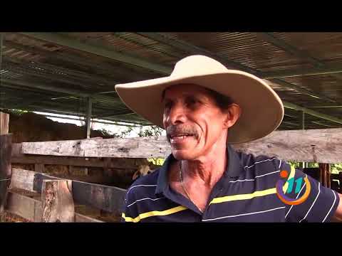 Conozca a Casimiro Contreras el narrador oficial de los toros en Santa Cruz