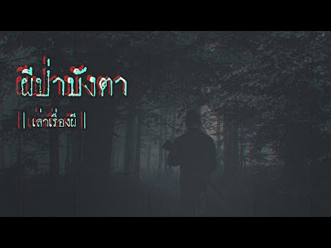 เล่าเรื่องผี-EP.243-|-ผีป่าบัง เล่าเรื่องผี-EP.243-|-ผีป่าบัง