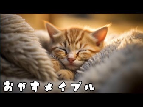 【睡眠用】木0【メイプルストーリー】