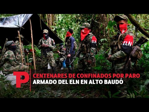 Centenares de confinados por paro armado del ELN en Alto Baudó I08.11.2023I Telepacífico Noticias