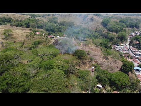 Incremento de incendios forestales en el Suroeste - Teleantioquia Noticias