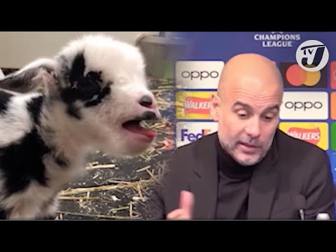 Pep Guardiola 'The untouchable GOAT' | TVJ Sports Commentary