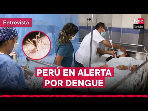 Perú en ALERTA por AUMENTO de casos de DENGUE