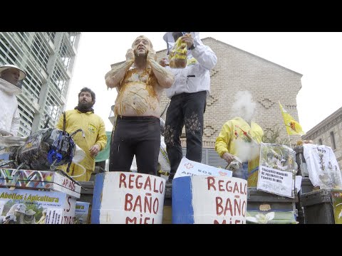 Apicultores valencianos se bañan en miel para pedir un plan de rescate