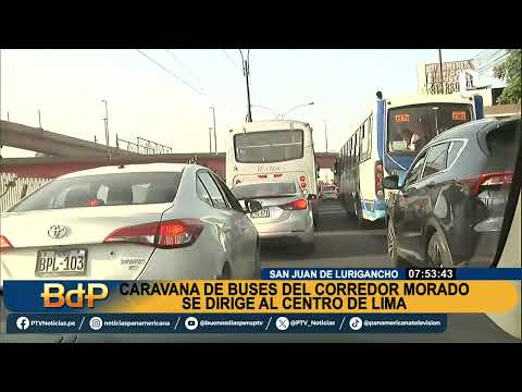 BDP Caravana de buses del Corredor Morado se dirige al Centro de Lima