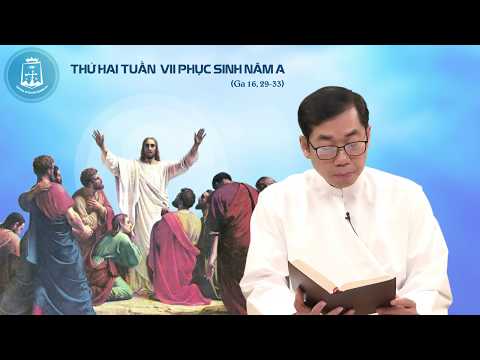 Chia sẻ Lời Chúa - Thứ Hai Tuần VII Mùa Phục Sinh - 25/05/2020 - Lm Phaolô Lưu Quang Bảo Vinh, DCCT