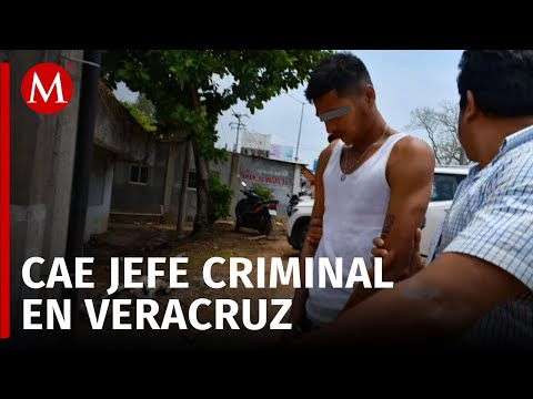 Capturan a 'El Puma', jefe de plaza en Veracruz e implicado en asesinato de agente municipal