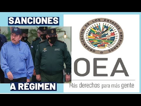 En Nicaragua Daniel Ortega! es Un Gobierno Ilegitimo Exijiremos a la OEA para que declare Ilegitimo!