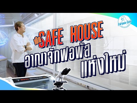 เปิดSAFEHOUSEอาณาจักรนกฟอพัส