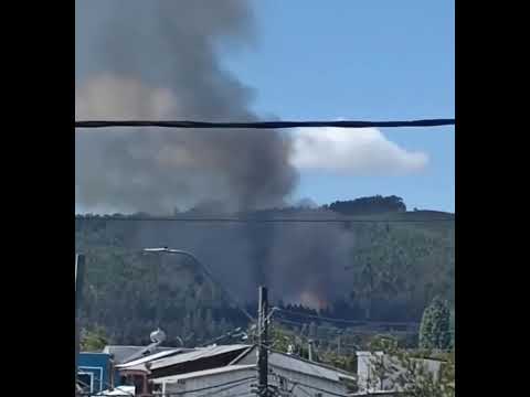 ??Otro #Incendio más en #Valdivia, muy cerca de la #ciudad, ¿Cuantos #conejos estarán involucardos