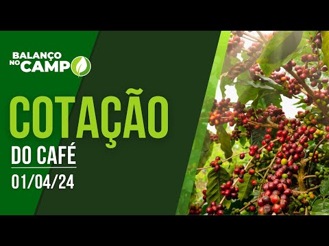 COTAÇÃO DO CAFÉ EM ALTA - 01/04/2024