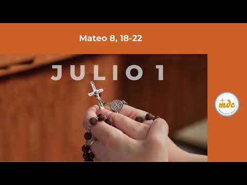 Mt 8, 18-22 - Evangelio del día - Padre Luis Zazano