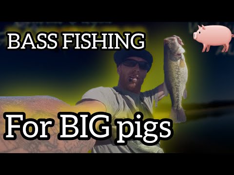 2018 wickiup reservoir bass fishing