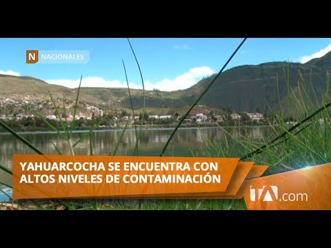La laguna de Yahuarcocha en emergencia por contaminación