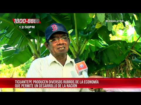 Productores de Ticuantepe diversifican sus fincas con variados cultivos - Nicaragua