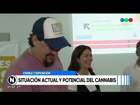 Potencial del Cannabis: la situación actual