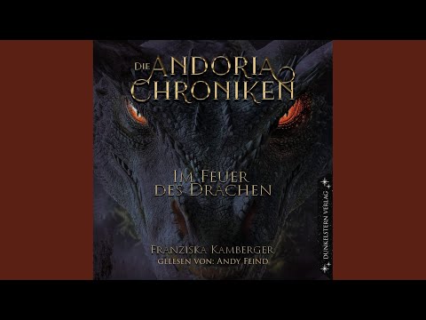 Kapitel 40 - Aiden.3 - Die Andoria Chroniken - Im Feuer des Drachen