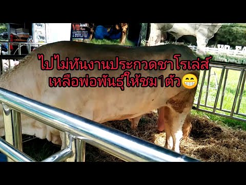 ชาโรเล่ส์เก็บตกงานเกษตรเทคโน