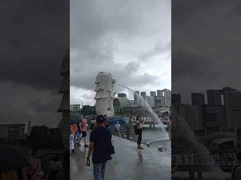 ฝนกำลังตกพยากรณ์อากาศดูพยากรณ