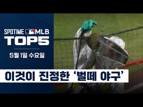 비(BEE)내린 노동절, 워커(WALKER)의 끝내기 홈런｜5월 1일 MLB TOP5