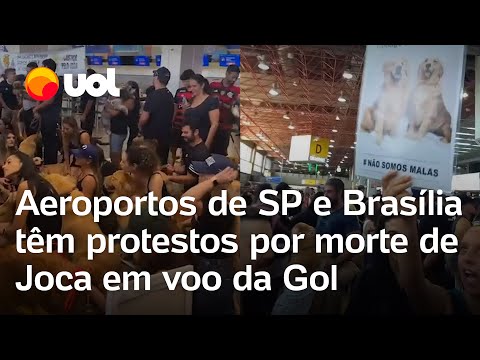 Caso Joca: Tutores protestam em aeroportos de SP e Brasília após morte de cachorro em voo da Gol