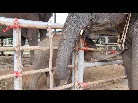 อรุณสวัสดิ์ตอนเช้า-เช้านี้อยู่ อรุณสวัสดิ์ตอนเช้า-เช้านี้อยู่