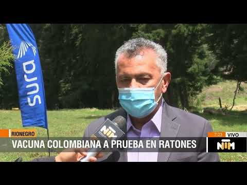 Avanza desarrollo de vacuna colombiana contra el covid [NTM] - Telemedellín