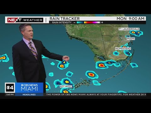 South Florida 11:30 p.m. Weather Forecast 9/29/2024