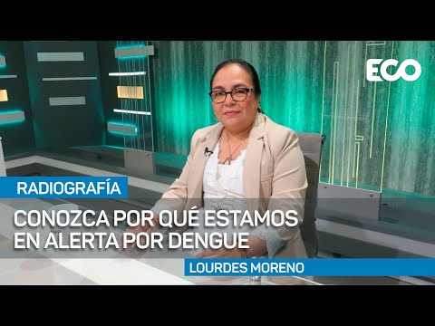 20 personas han muerto en Panamá en lo que va del año por dengue #RadioGrafía