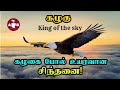 Eagle Motivation in Tamil  7     Life Lesson from Eagle