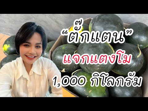 ตั๊กแตน‼️แจกแตงโม1,000กิโลกรั