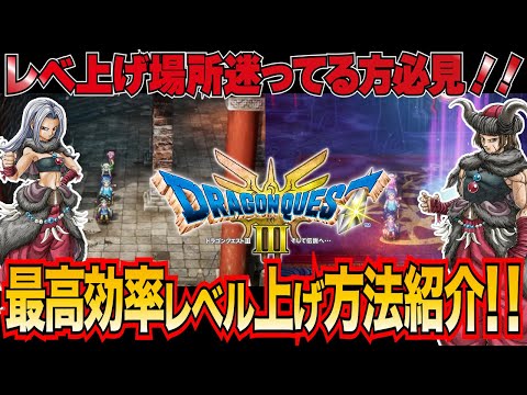 【進行度別！！】最高効率のレベ上げ方法紹介します！！　DQ3 HD2D DQ3リメイク　DQ3 そして伝説へ