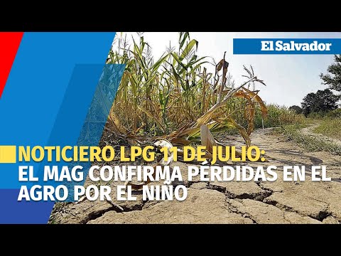 Noticiero LPG 11 de julio: El MAG confirma pérdidas en el agro por El Niño