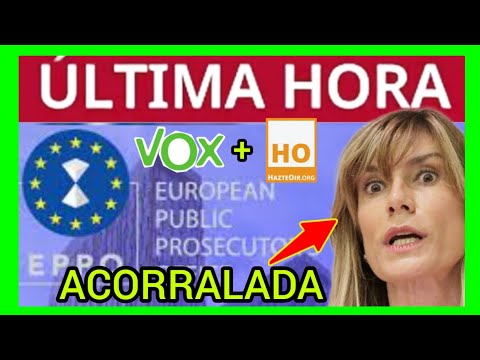 #ÚLTIMAHORA - VOX y HazteOir SE UNEN EN EUROPA CONTRA BEGOÑA GÓMEZ