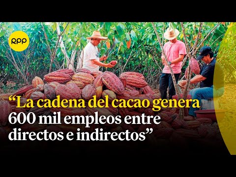 Precio del cacao rompe récords: producción en el Perú ha crecido a 170 mil toneladas