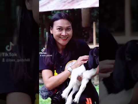 #บ้านเขาหลัก-#ตรัง-#เที่ยวเชิง #บ้านเขาหลัก-#ตรัง-#เที่ยวเชิง