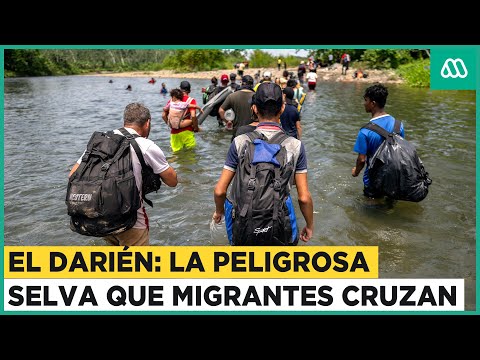 Darién: La peligrosa selva que migrantes cruzan para llegar a Estrados Unidos