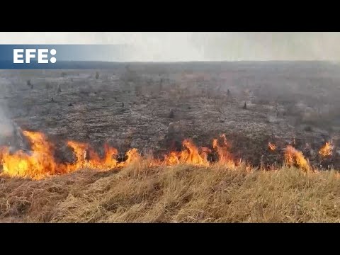 Incêndios no Pantanal são causados ??por “ação humana”, diz Marina Silva