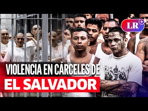 NAYIB BUKELE: Más de 300 muertes bajo custodia estatal en EL SALVADOR