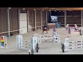 Show jumping horse 11-jarige springmerrie