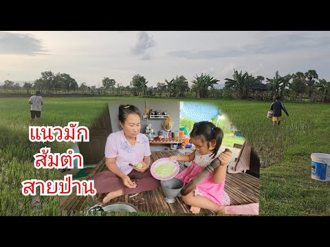 สายป่านตำส้มตำกินเองแนวมักเพ