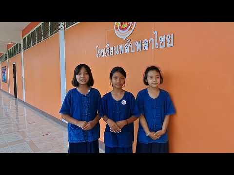 ธนันพัชร์ โพธิ์งามพุ่ม แนะนำการดำเนินกิจกรรมบริษัทสร้างการดี โรงเรียนพลับพลาไชย ธนันพัชร์ โพธิ์งามพุ่ม แนะนำการดำเนินกิจกรรมบริษัทสร้างการดี โรงเรียนพลับพลาไชย