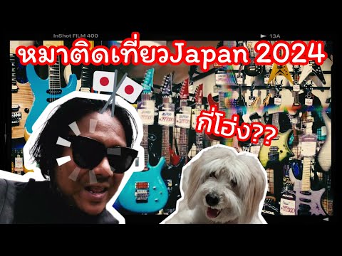 หมาติดเที่ยวJapan2024