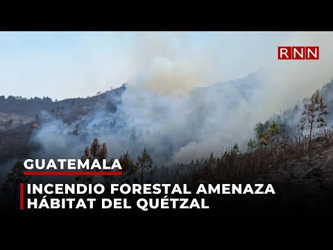 Incendio forestal amenaza hábitat del Quétzal