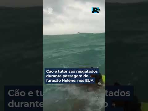 Cão e tutor são resgatados durante passagem do furacão Helene, nos EUA #shorts #jornaldarecord