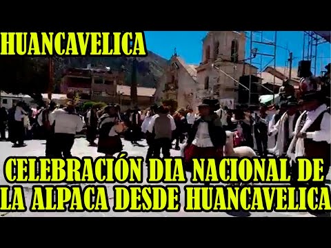 ASI CELEBRARON EL DIA NACIONAL DE LA ALPACA DESDE HUANCAVELICA..