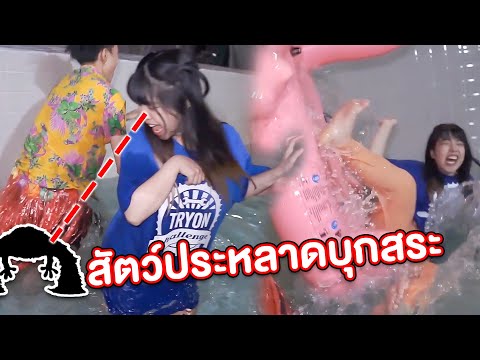 ลื่นตกสระ-กุ้ง-และกบยักษ์-บุกส ลื่นตกสระ-กุ้ง-และกบยักษ์-บุกส