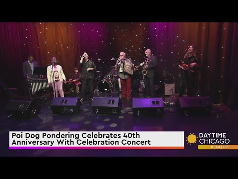 Poi Dog Pondering Celebrates 40th Anniversary With Celebration Concert