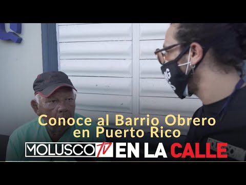 BARRIO OBRERO “Arecibo” PASAN EL COVID19 BEBIENDO CERVEZA.. #ElEnmascarado Entrevista AL PUEBLO ??