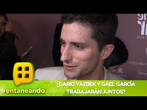 Dario Yazbek responde si trabajará pronto con su hermano, Gael García | Ventaneando